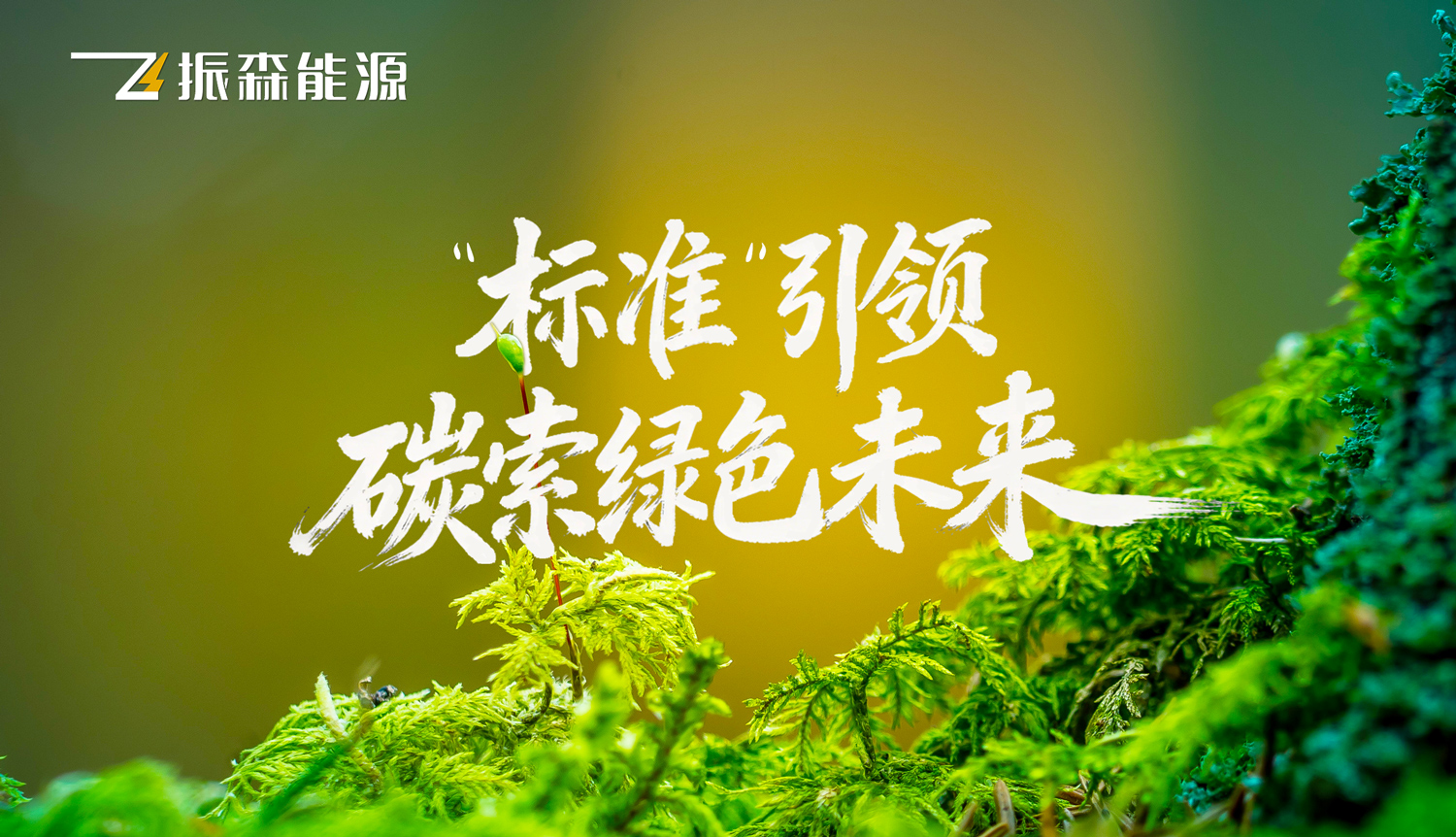 文章首图.jpg 文章首图.jpg